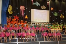 Nursery Create A Commotion In The Ocean Nursery Create A Commotion In The Ocean